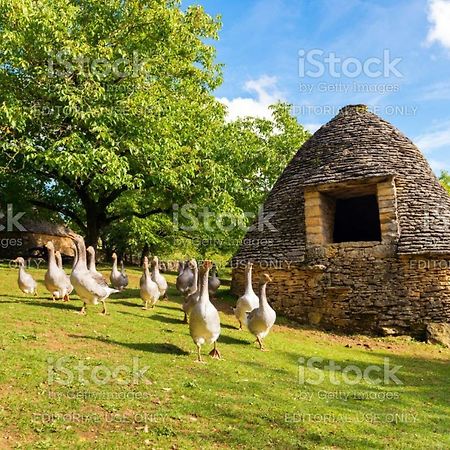 Studio Fontaine D'Amour Sarlat-la-Canéda Exterior foto