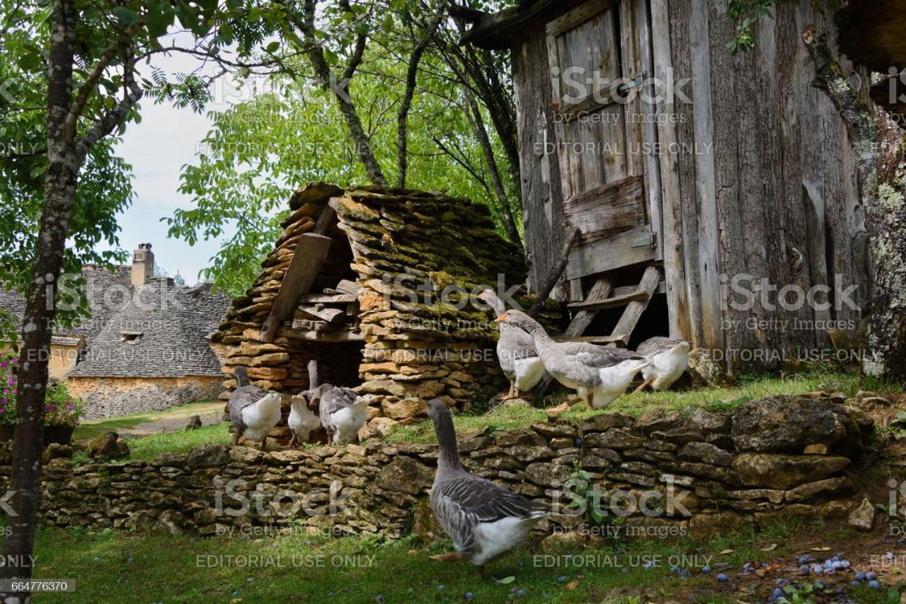 Studio Fontaine D'Amour Sarlat-la-Canéda Exterior foto